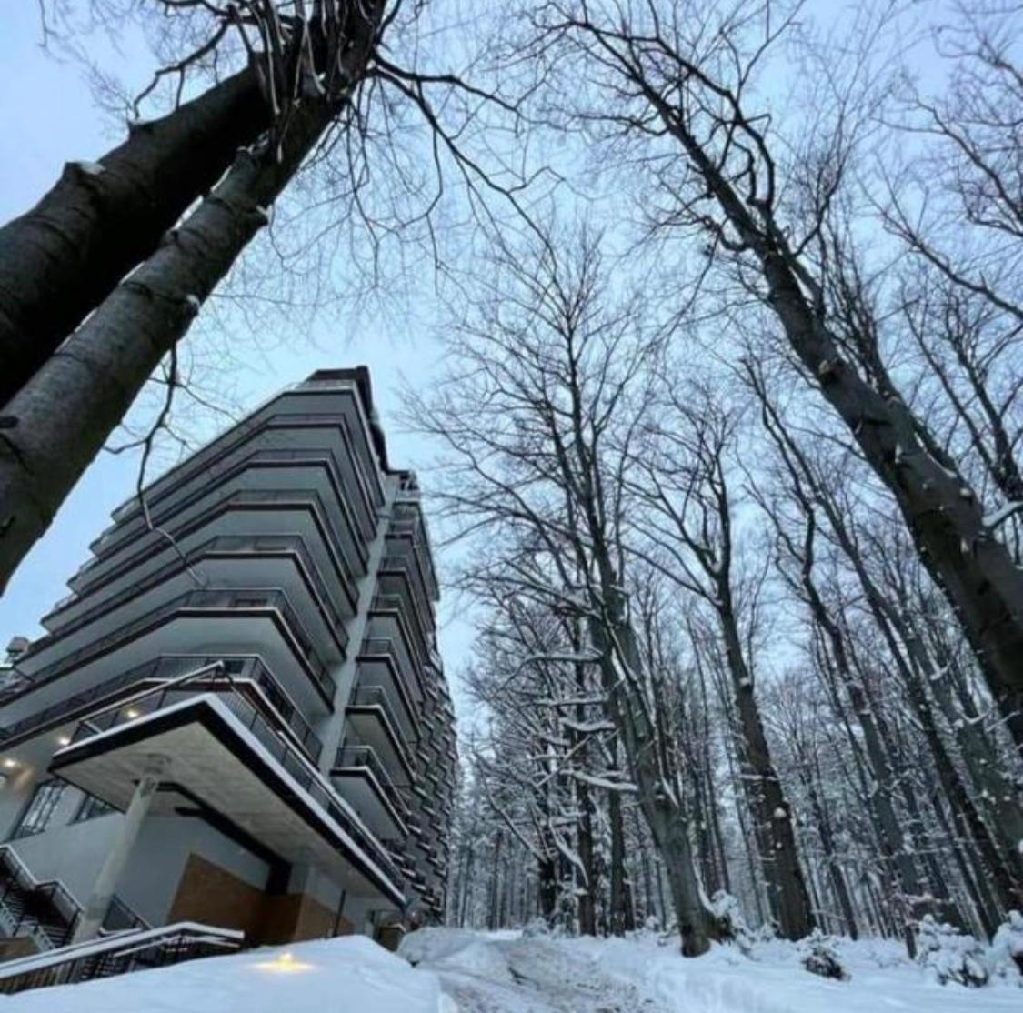 Srodkowa Widok Na Las 2 Pietro Garaz Gratis Szklarska Poręba Exterior foto